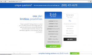 InfocusAnatomy_webhostingBluehost